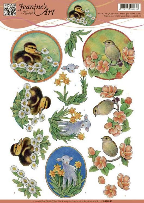 CD11040 young animals