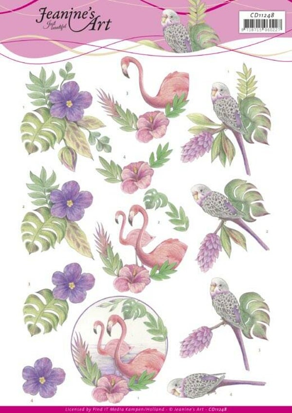 CD11248 in the tropics