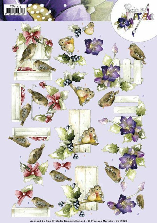 CD11223 winter birds