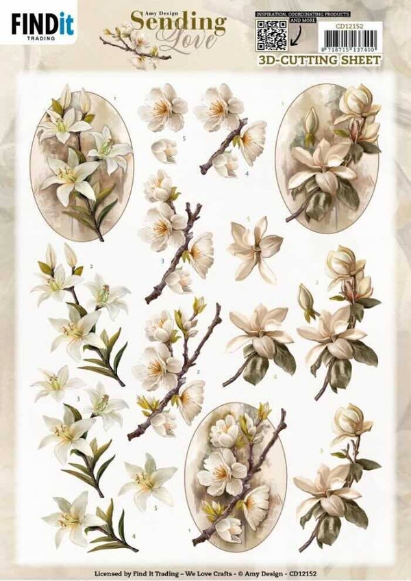 CD12152 flowers