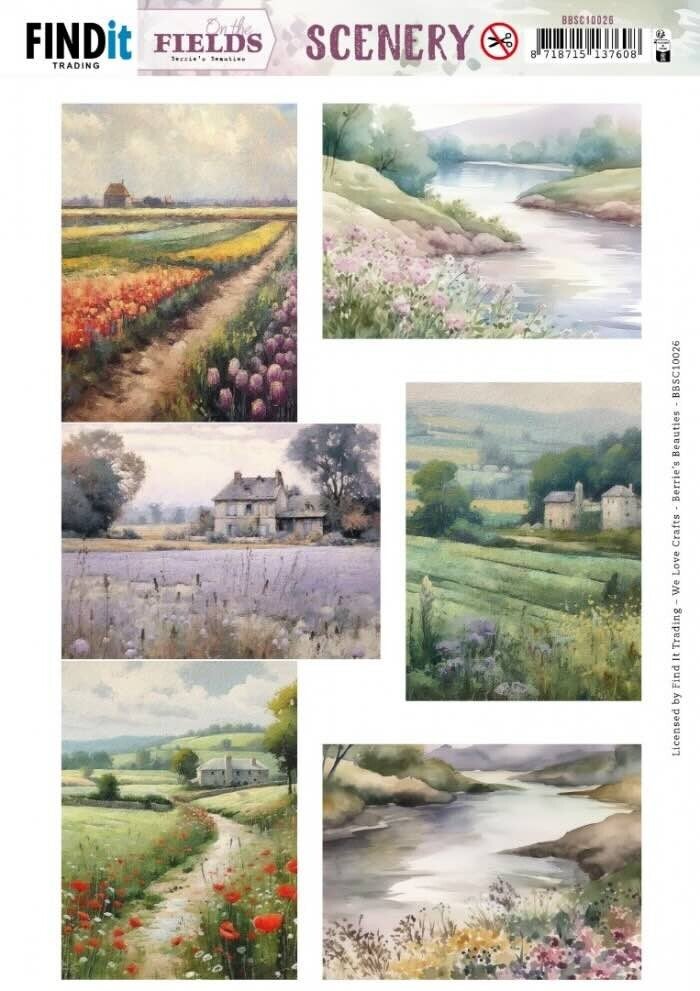 BBSC10026 on the fields - rectangle