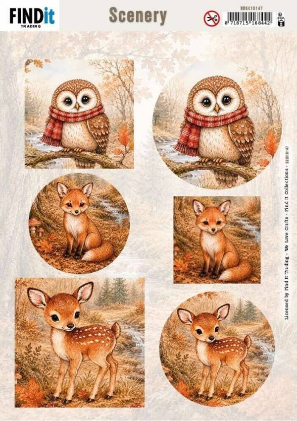 BBSC10147 autumn charm