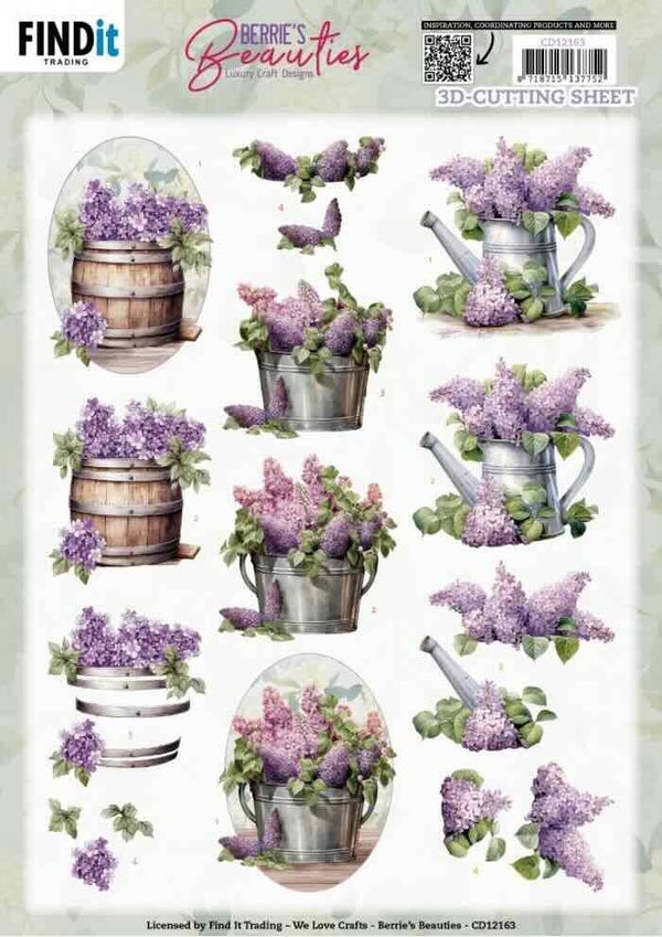 CD12163 lovely watercan