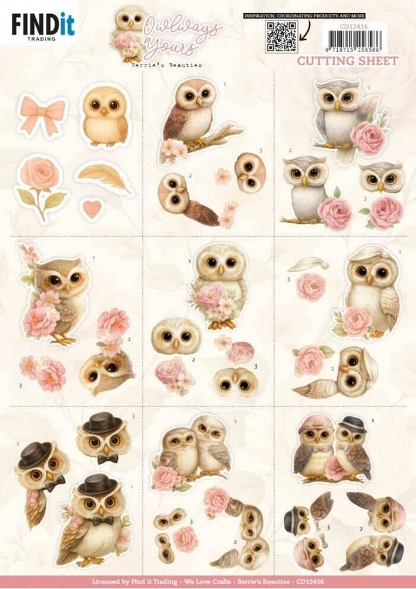 CD12416 owlways yours - mini