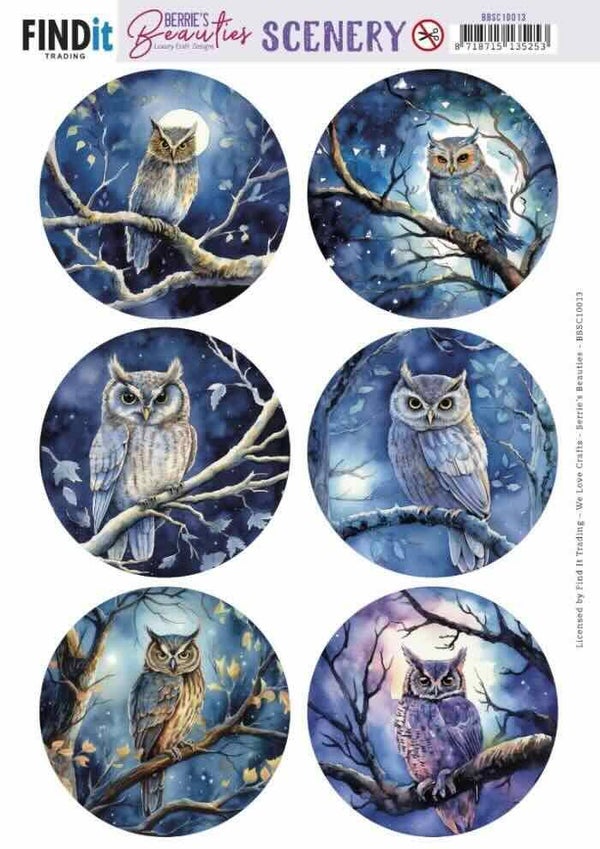 BBSC10013 owl round
