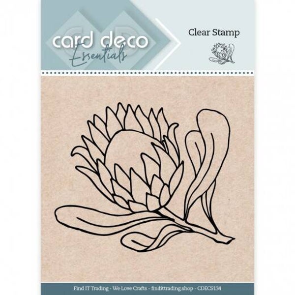 CDECS134 protea