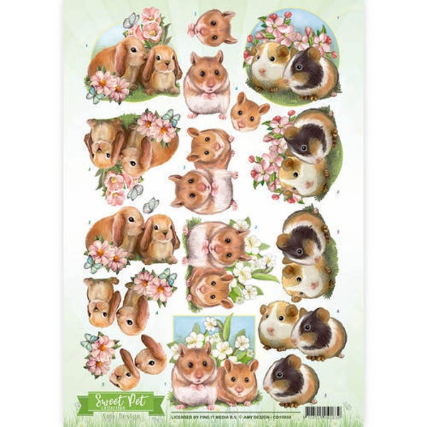 CD10959 rodents