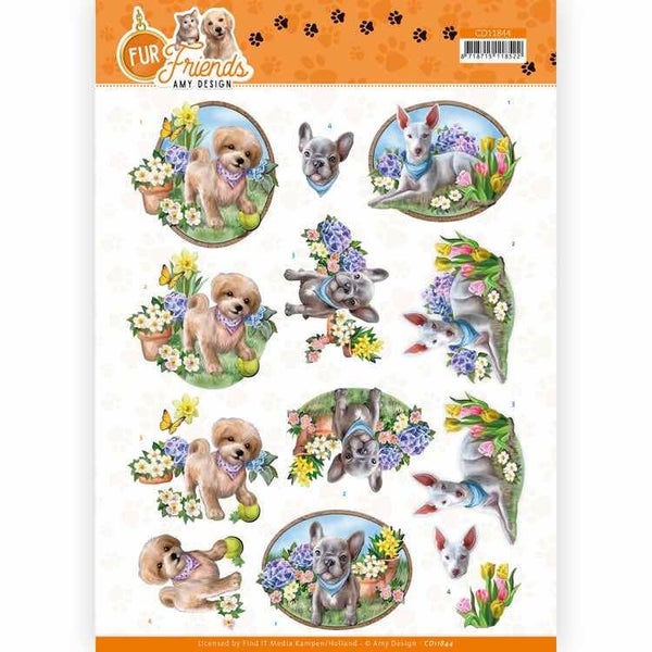 CD11844 dogs in the garden