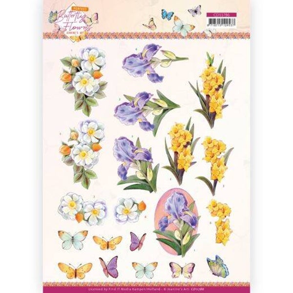 CD11786 gladiolus
