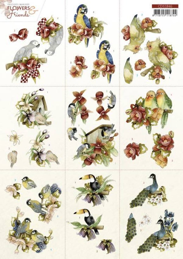 CD11846 flowers & friends combi