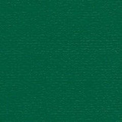 A4 Papicolor karton dennengroen