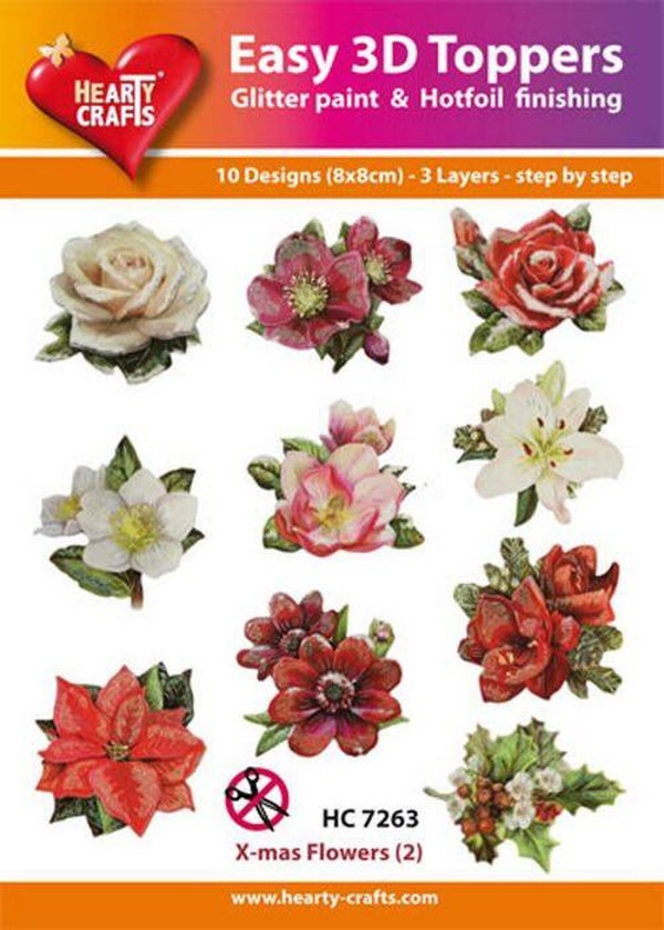 HC7263 easy 3D - x-mas flowers