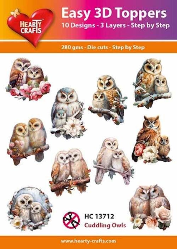 HC13712 easy 3D - cuddling owls