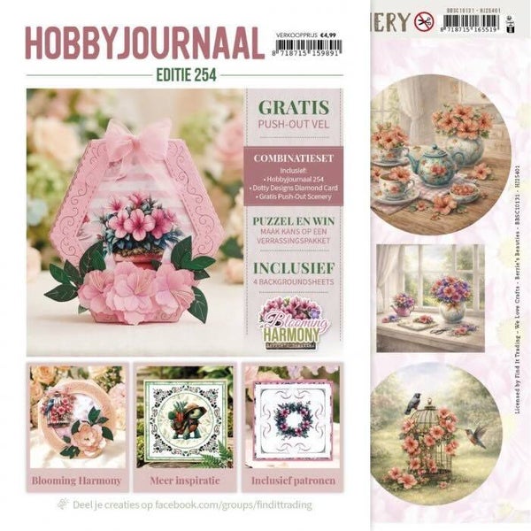 Hobbyjournaal magazine nr.254