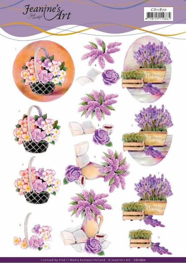 CD11870 purple flowers