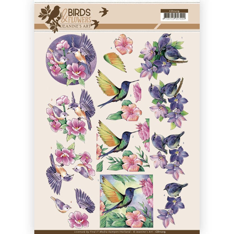 CD11219 tropical birds