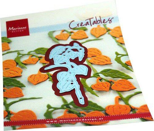 LR0776 Tiny's lantern plant