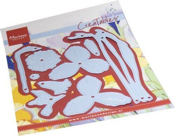 LR0847 Tiny's daffodil XL