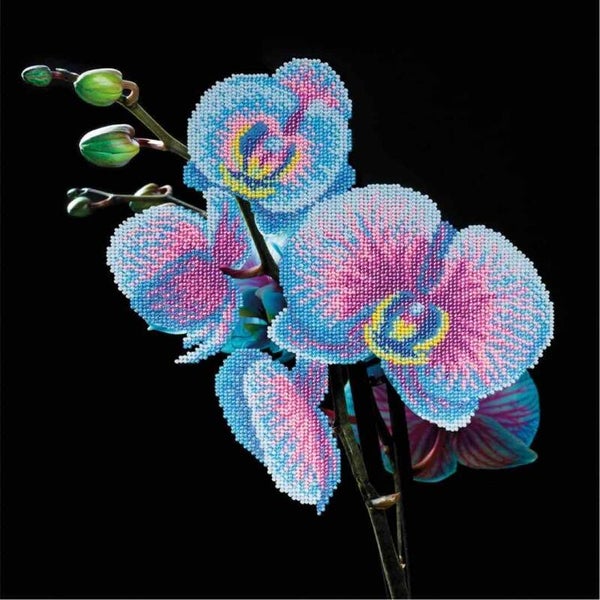 Miniart Crafts - blue orchid