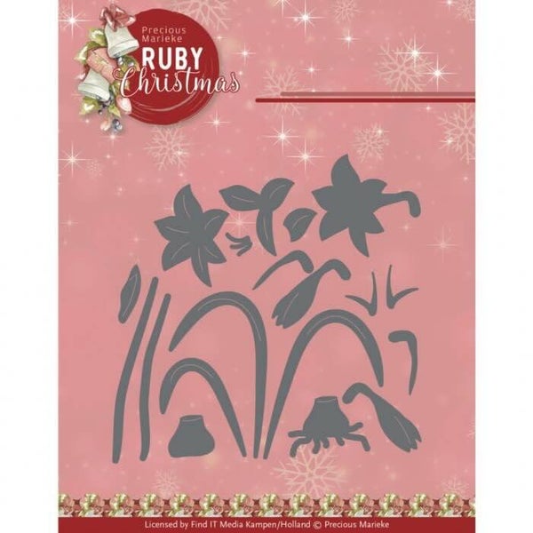 PM10270 ruby amaryllis