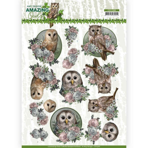 CD11566 romantic owls