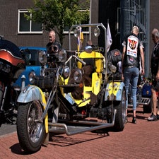 lupinehof24082024_001-standard.jpg