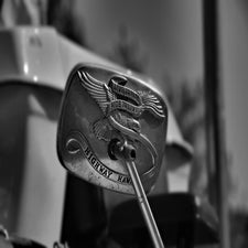 lupinehof24082024_006-standard.jpg
