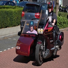 lupinehof24082024_013-standard.jpg