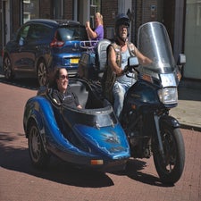 lupinehof24082024_037-standard.jpg