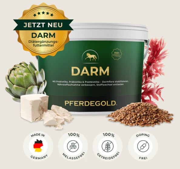 Darm - Für den Ausgleich bei chronischen Verdauungsstörungen des Dickdarms - Eimer 1.5 kg