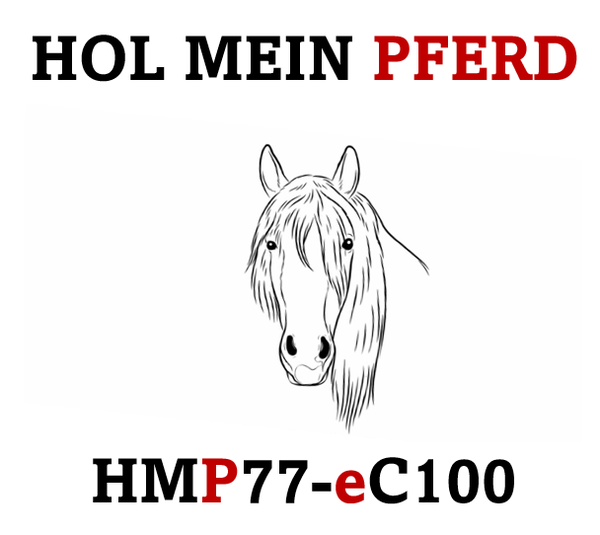 eCarnet ATA (Warenwert bis CHF 100'000.00)