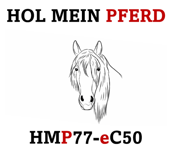 eCarnet ATA (Warenwert bis CHF 50'000.00)