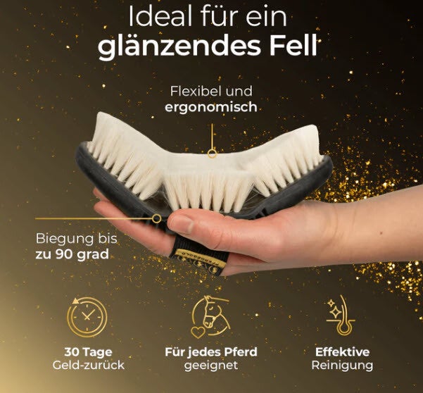Glanzbürste