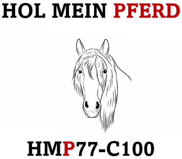 Carnet ATA (Warenwert bis CHF 100'000.00)