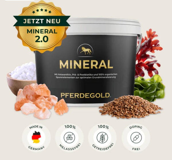 Mineral 2.0 - Die Basis-Mineralisierung für jedes Pferd - Eimer 1.5 kg