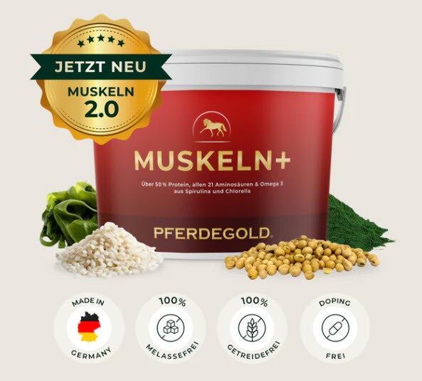 Muskeln+ 2.0 (Muskelpellets für Pferde) - Eimer 1.5 kg