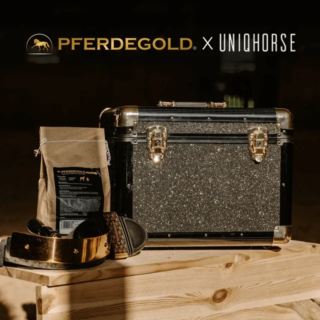Pferdegold Putzbox Black Glitzer Limited Edition