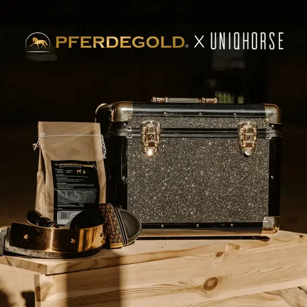 Pferdegold Putzbox Black Glitzer Limited Edition
