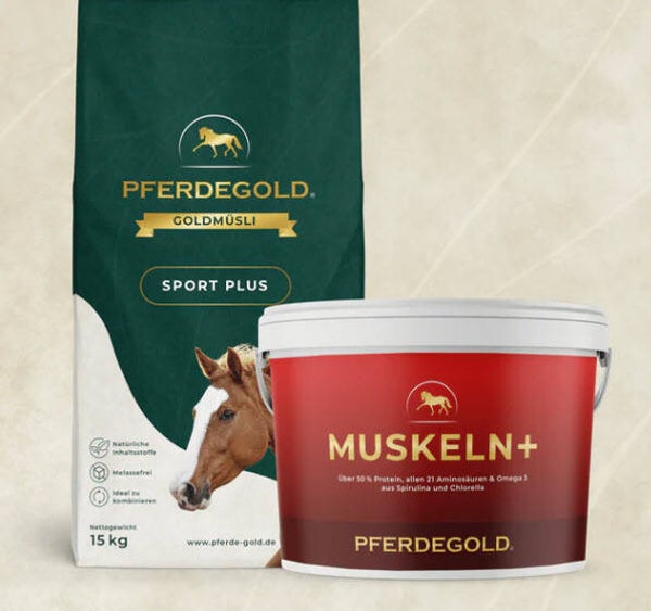 Sport Bundle: Muskelprotz - Eimer 1.5 kg + Sack 15 kg