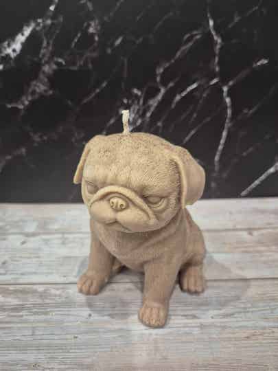 Hunde - Kerzen Verschiedene Rasse