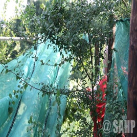 img-4752.jpg