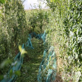 img-4798.jpg