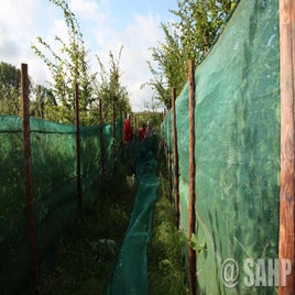 img-4755.jpg