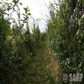 img-4804.jpg