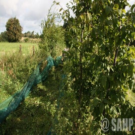 img-4786.jpg