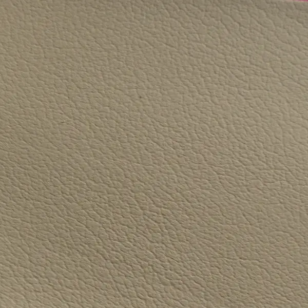 Z3345 Lexus Beige