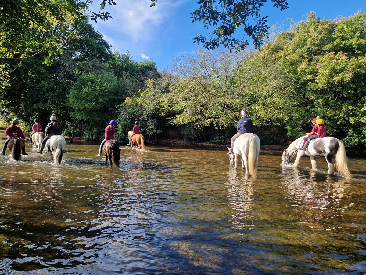 Riding School | Lands End Equestrian Centre