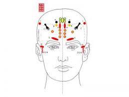 YNSA Yamamoto épaule cabinet Ruiz Marc