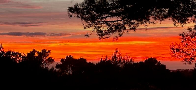 Séances acupuncture relaxation