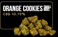Orange Cookies Small Buds CBD - Flor Indoor - Cultivo Interior
